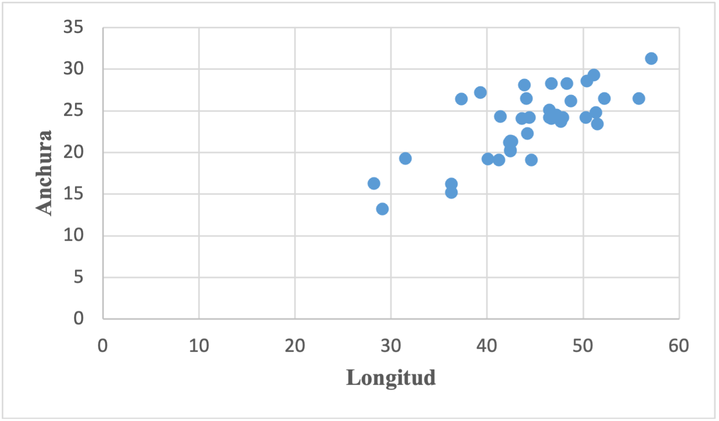 Fig. - Diagrama de dispersión de la Longitud y la anchura en la Ostra (Ostrea iridescens).