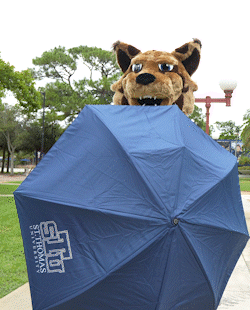 The STU Bobcat opening an STU branded umbrella and spinning it.