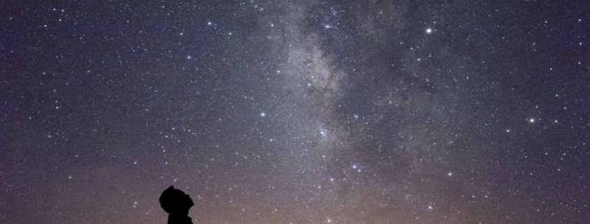 man gazes at stars