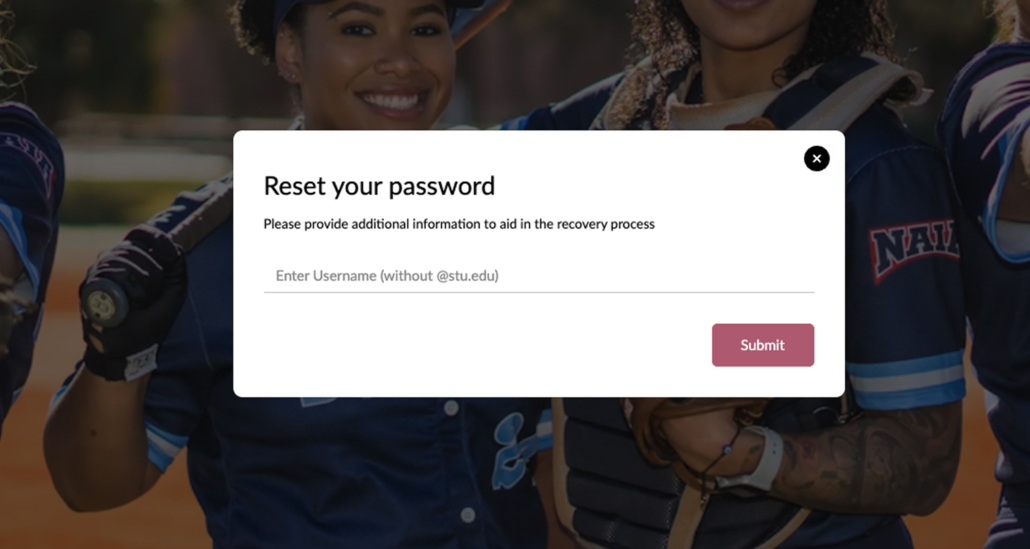 A screenshot of the password reset modal on MyBobcat